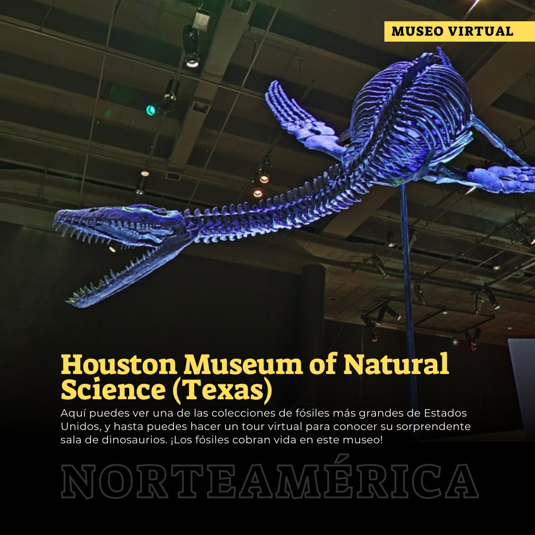 ¿Sabías que puedes explorar los mejores museos desde el lugar donde te encuentre? 🎨🏛️ Descubre colecciones impresionantes, historia y arte de todo el mundo, con nuestra ventana de museos virtuales.
biblioteca.uniandes.edu.co/es/cultura/mus…