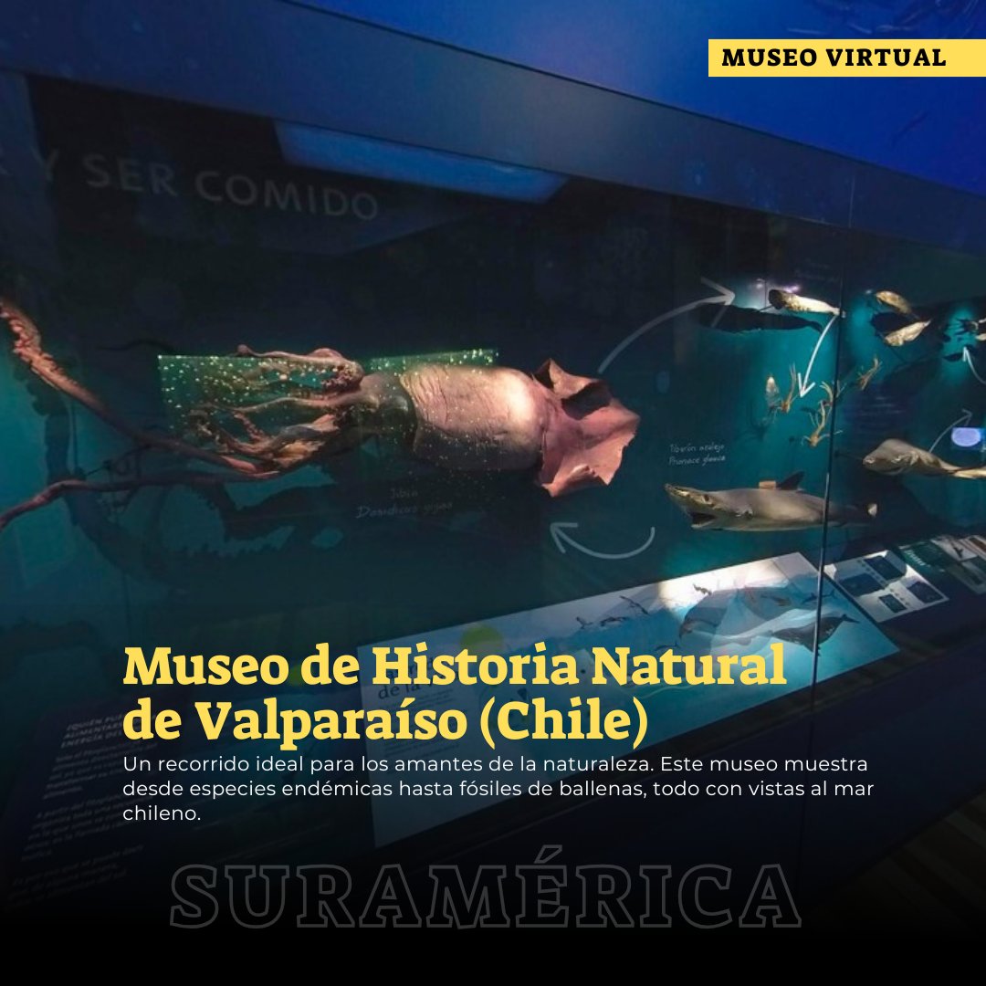 ¿Sabías que puedes explorar los mejores museos desde el lugar donde te encuentre? 🎨🏛️ Descubre nuestra ventana de museos virtuales.
No dejes pasar la oportunidad de viajar a través de la cultura biblioteca.uniandes.edu.co/es/cultura/mus…