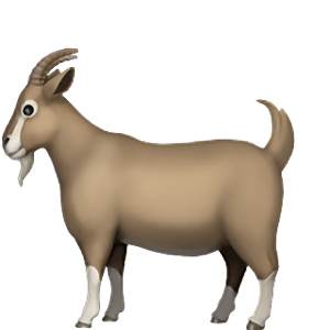 chris waters tweet media