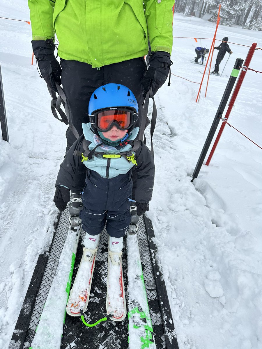 Krista Seiden (@kristaseiden) on Twitter photo Happy birthday to <a href="/taylorswift13/">Taylor Swift</a>, <a href="/amandanat/">Amanda Natividad</a>, and me!
My birthday wish was to get my 18 month old up on skis for the first time. We did it! Happy birthday to <a href="/taylorswift13/">Taylor Swift</a>, <a href="/amandanat/">Amanda Natividad</a>, and me!
My birthday wish was to get my 18 month old up on skis for the first time. We did it!