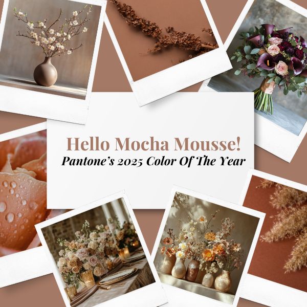 floranext's tweet photo. 🌟 Florists are you excited about Pantone’s 2025 Color of the Year, Mocha Mousse? Check out our latest blog for creative tips and tricks to incorporate this trendy tone into your work. https://t.co/0RmYLxoKco #florist #flowershop #pantone2025 #floristry #floral #floraldesign https://t.co/urjoIEoi1R