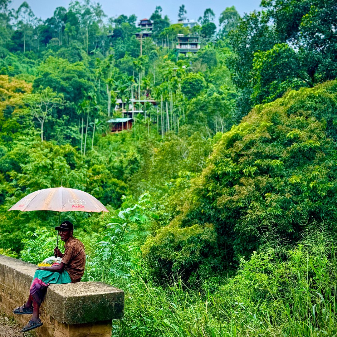 Jordan Campbell | Travel Creator 🌎🍺 tweet media