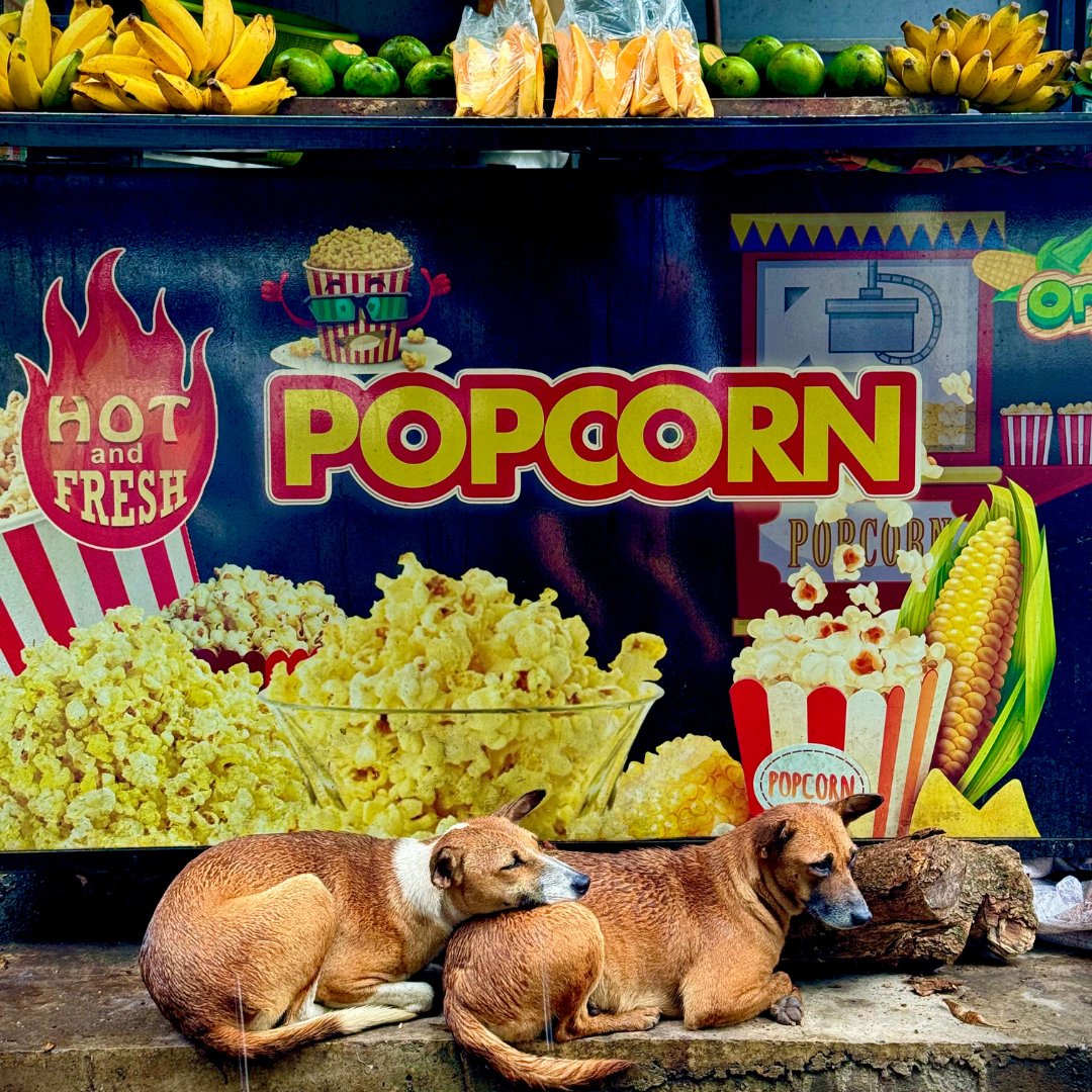 Jordan Campbell | Travel Creator 🌎🍺 tweet media