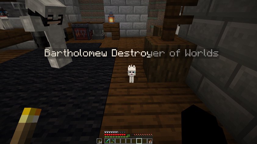 leave him alone he’s just a chill kitty @g76evil