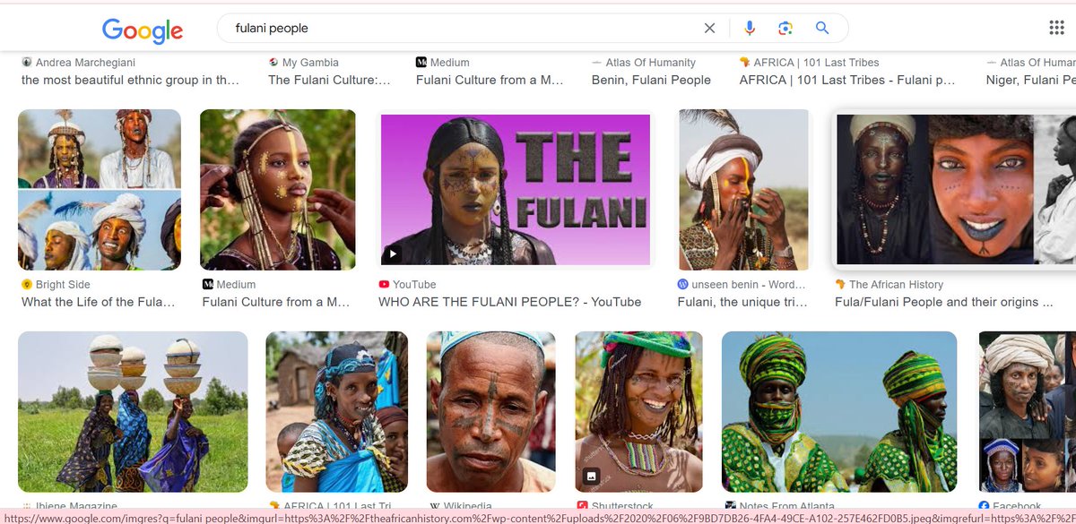 because the US citizen is not a cow so nigerian Army won't be able to save you. The terrorists and the army are from the same tribe, and they don't want to harm their own people. Both Boko Haram and the Nigerian army have members from the Fulani tribe