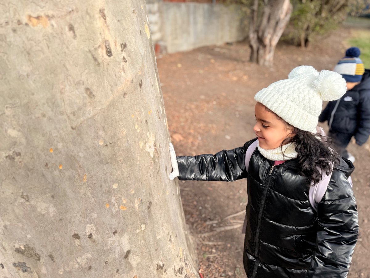 D25PreKCenters's tweet photo. Our 3K students are learning all about TREES! During our Trees Study, classes walked around the school to find different types of trees and learn more about the parts of trees. Our students are learning to be scientists! #d25prekcenters #treesstudy #3kforall #investigation #steam https://t.co/ctV3YCkBCm