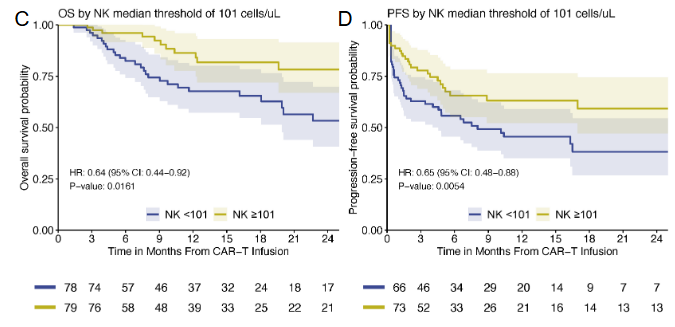 RShouval's tweet photo. 3/6 #NKcell recovery at day 30 strongly predicts better overall survival (OS) and progression-free survival (PFS). A one-log increase in NK count was associated with a 36% reduction in mortality risk. #CD4Tcell and #Bcell recovery were not linked to OS/PFS https://t.co/utNrSld4SJ