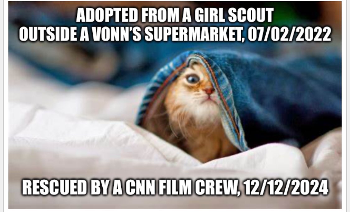 Behold the power of the Mainstream Media!