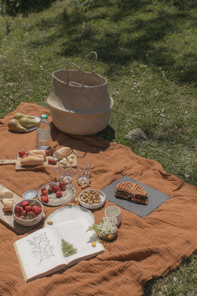 foodies4life11's tweet image. Fruits, nuts, bread, and waffles—the ultimate picnic vibes! 🧺🍇✨ #PicnicGoals #FreshAndSimple #Foodies4Life