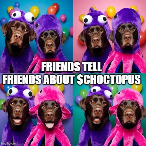 El Chocto tweet media