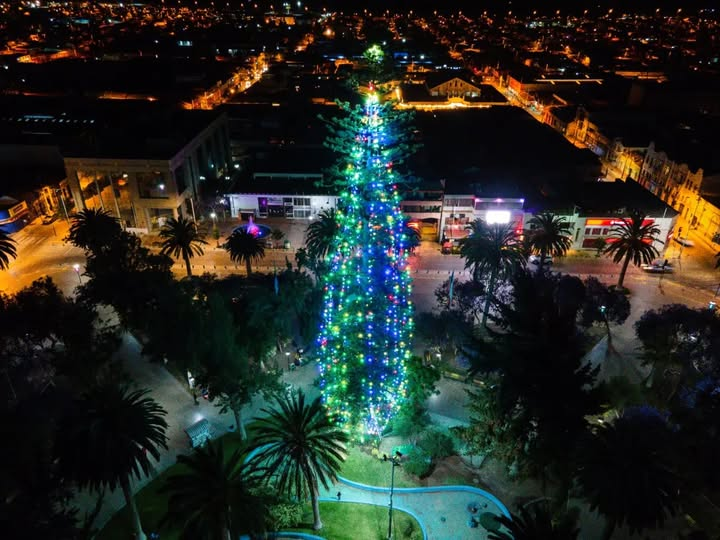 pdepato13's tweet photo. Como todos los años se enciende el árbol de Navidad natural más alto del mundo ( 55 Mts. ) en la ciudad de Ovalle , Región de Coquimbo. https://t.co/jitq9NFmTW