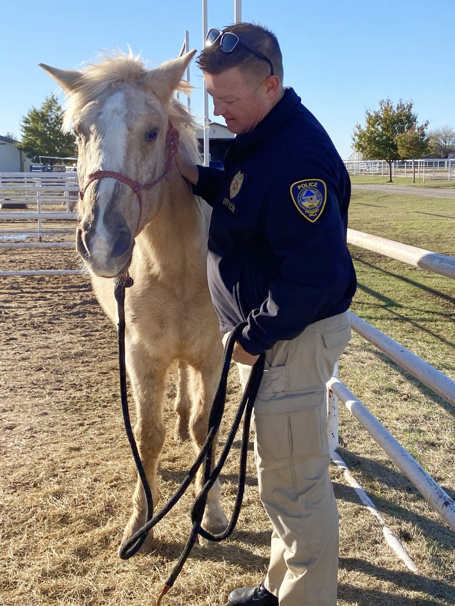 ASPCA's tweet photo. On #NationalDayoftheHorse, we're highlighting how the ASPCA recently welcomed 31 law enforcement personnel for a full day of equine training, consisting of horse handling and more. Click the link to read about the course and how to join future sessions. https://t.co/OoXeSzIS6x https://t.co/XJ2ACuTDQI
