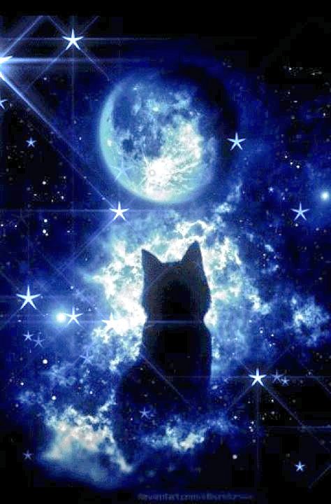 Lpowell588Lady's tweet photo. @NCDanielle74 please know you have loads of petloving friends here to help you with your grieving. the rainbow bridge helps
#ItsNotGoodbye
#UntilWeMeetAgain #otrb๐ #ForeverInOurHearts #LoveNeverDies
your little darling is up among the stars watching over you. #furryangel https://t.co/MCqVqD4dSm