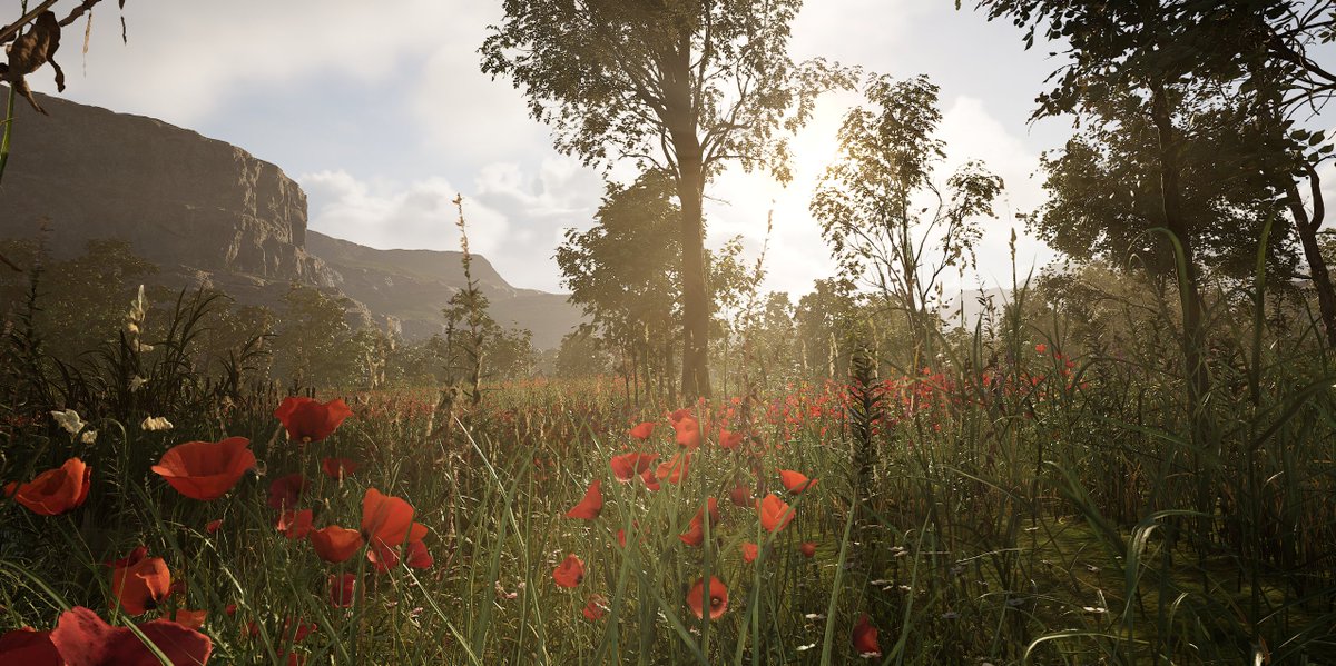 The Wings of Dawn tweet media