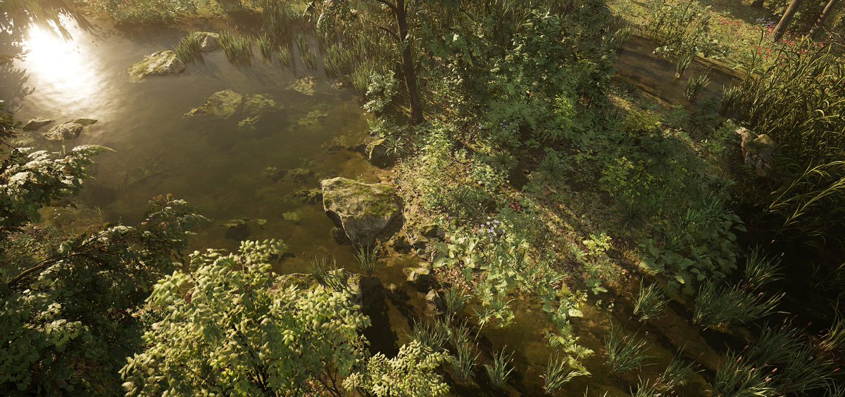 The Wings of Dawn tweet media