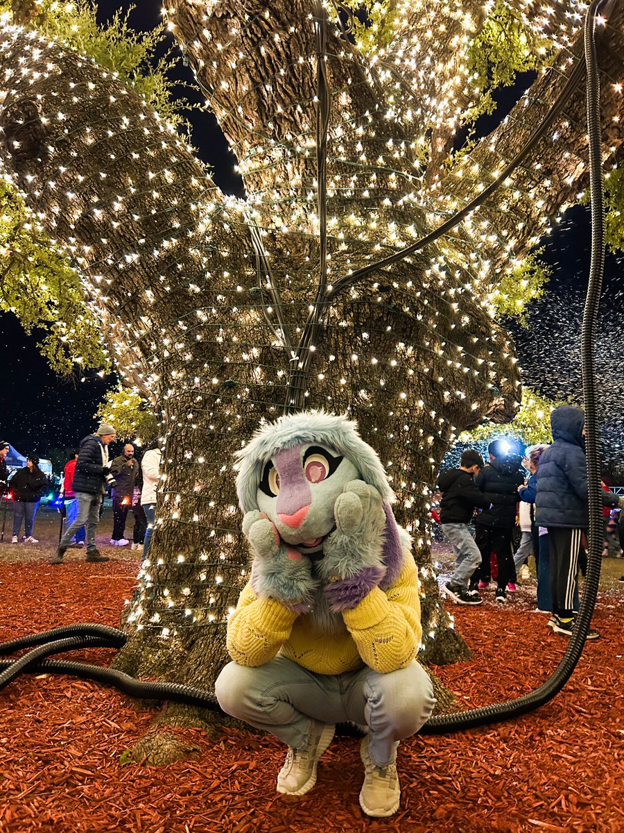 The holidays always make a rabbit so excited 🌲🎄🌲

#fursuitfriday #furry