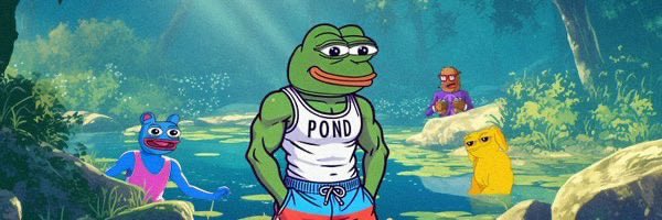 PondArtChain's tweet photo. How do I stake my Pepe in a supercharged staking pool to earn $POND, a thread. https://t.co/9JdEN06ac0