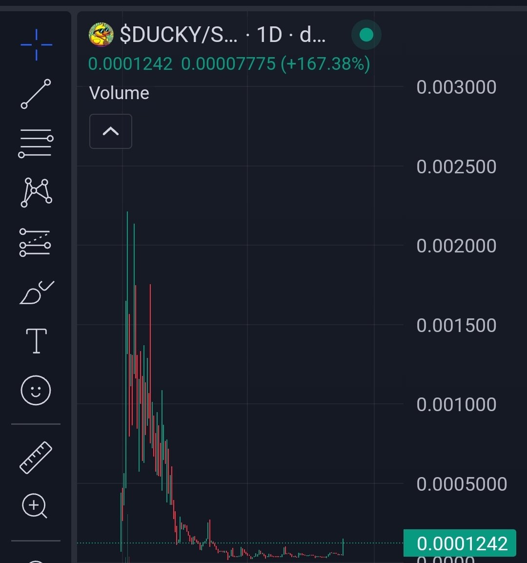 Rubber Ducky Cult tweet media