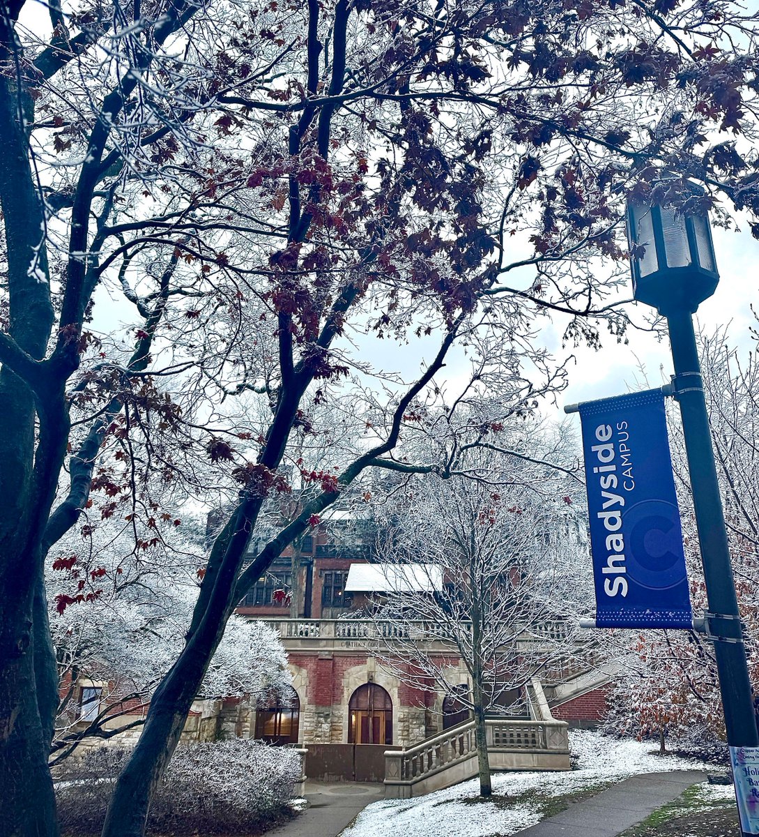 See you in 2025, Cougars! We hope you have a relaxing, rejuvenating, reinvigorating, rewarding, and really really awesome winter break. 💜
