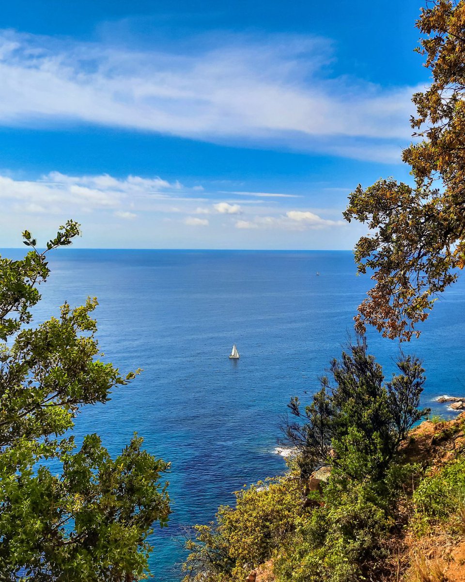 Trek Travel tweet media