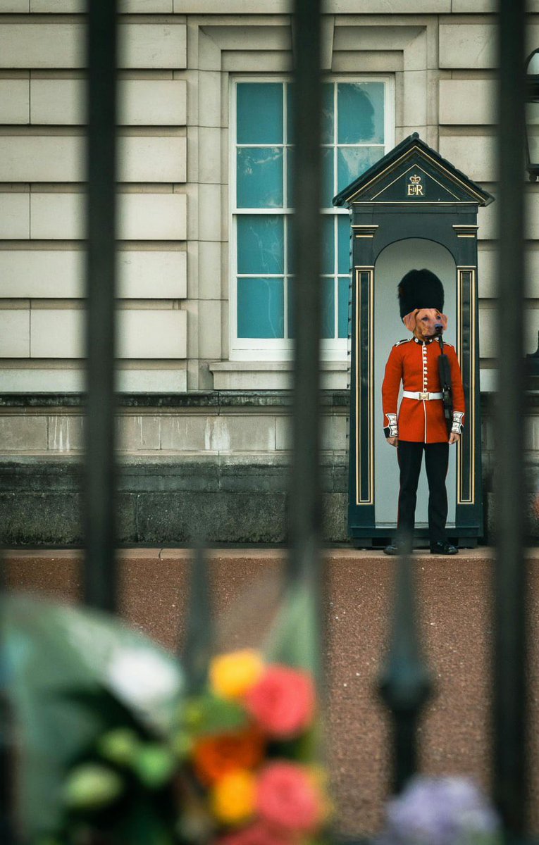 Proudly defending the Bitcoin ecosystem since its inception.

God save Satoshi.