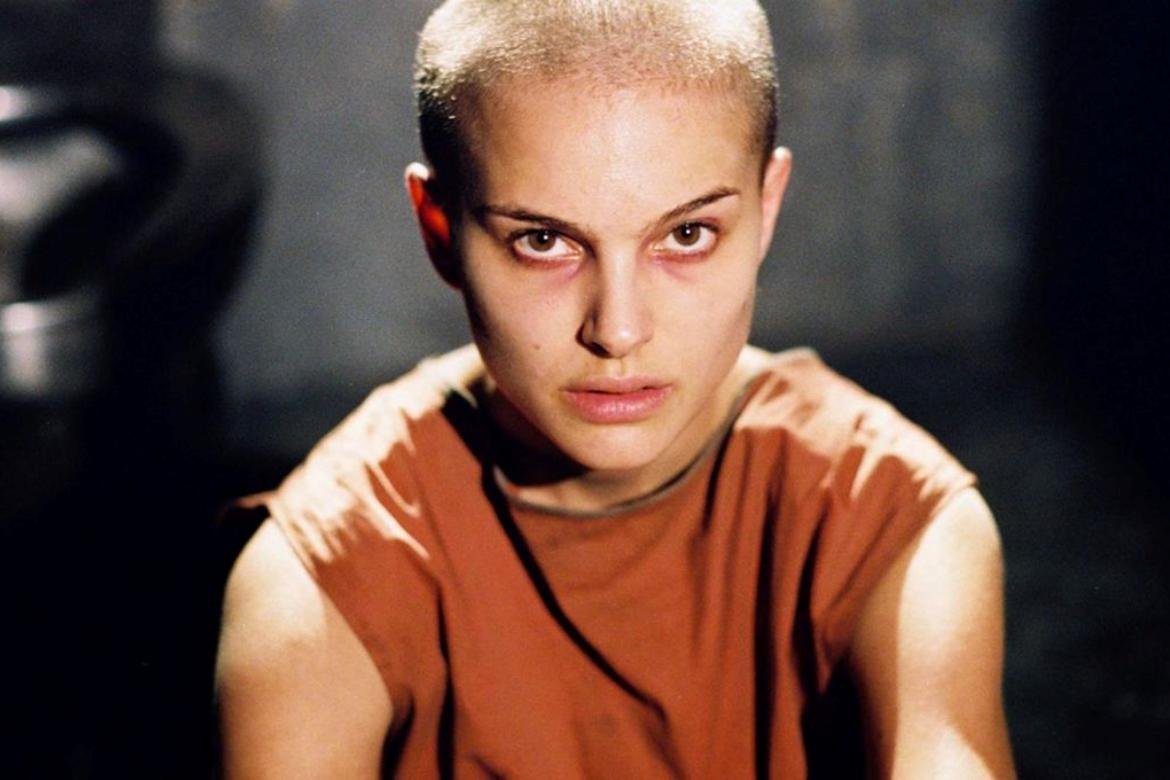 igara_ferreira's tweet photo. "Cabelo raspado é coisa da cultura woke"

🔹 Ellen Ripley, Alien 3 (1992)
🔹 Jordan O'Neill, Até o Limite da Honra (1997)
🔹 Evey Hammond, V de Vingança (2006)
🔹 Furiosa, Mad Max (2015) https://t.co/fpzwqOXyea
