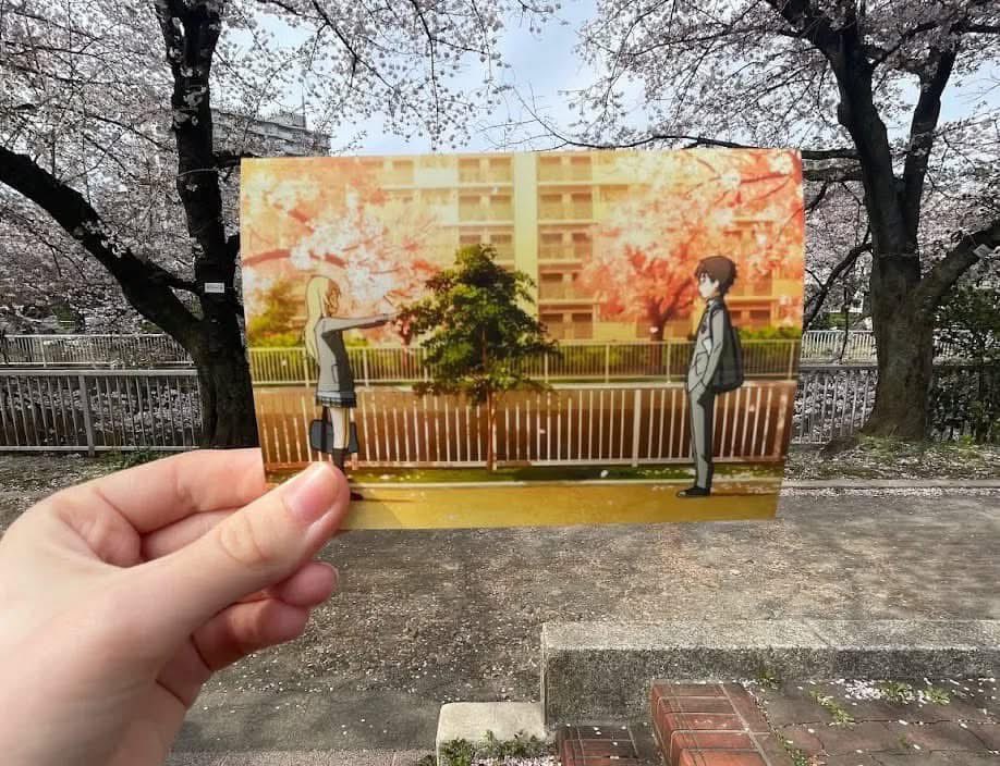 shojopicture's tweet photo. Real life ❤️ https://t.co/HGjrXp8Hda