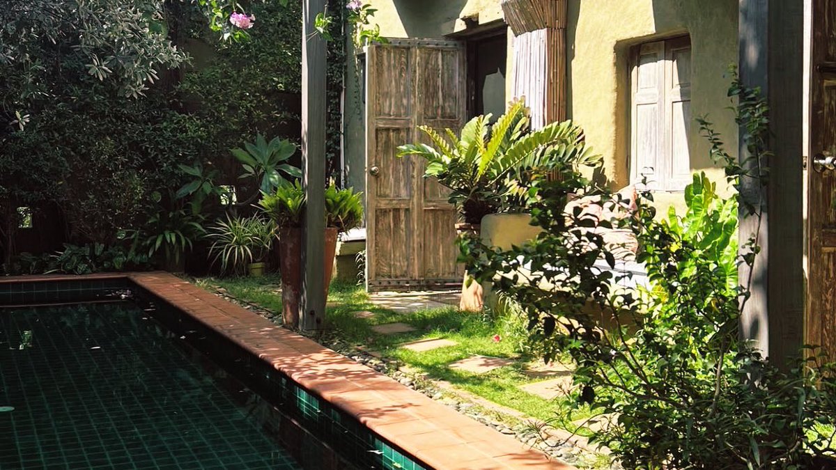 Shia Erica tweet media