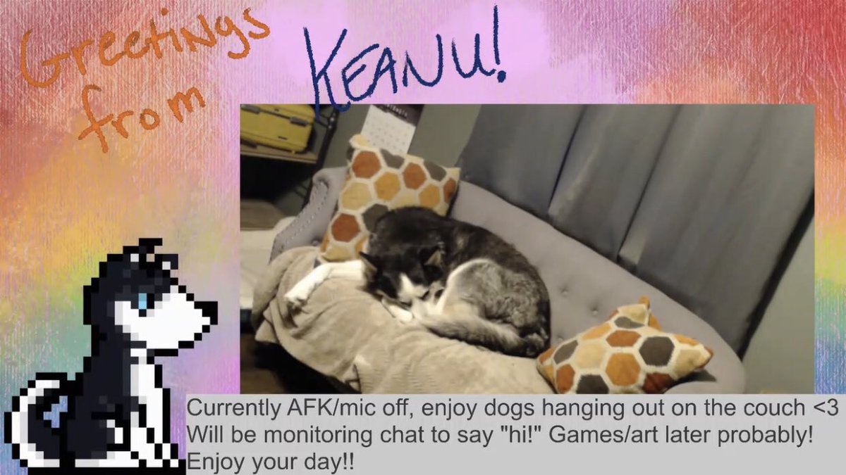 linnibeanie's tweet photo. Wanna come see a dog snoozing on the couch while listening to music and working/studying? Of course you do. The doggo (currently Keanu) is LIVE NOW snoozing on the couch while Linni takes care of the baby!
https://t.co/gGXa1gO5YQ
#dogs #doggos #dogonthecouch #dogsoftwitch https://t.co/6A8eRyKtow