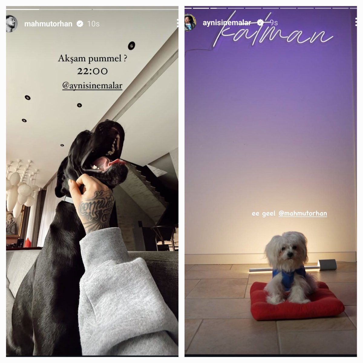 Dobby gibi üstünlük kurmanı bekliyoruz <a href="/aynisinemalar/">Çağrı Ergün</a> #HYPvMAH