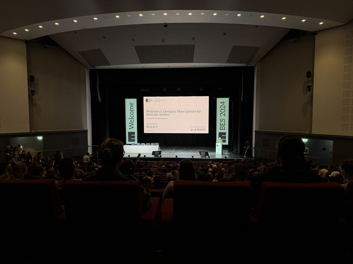 Aurora #LicencedBirdRinger tweet media