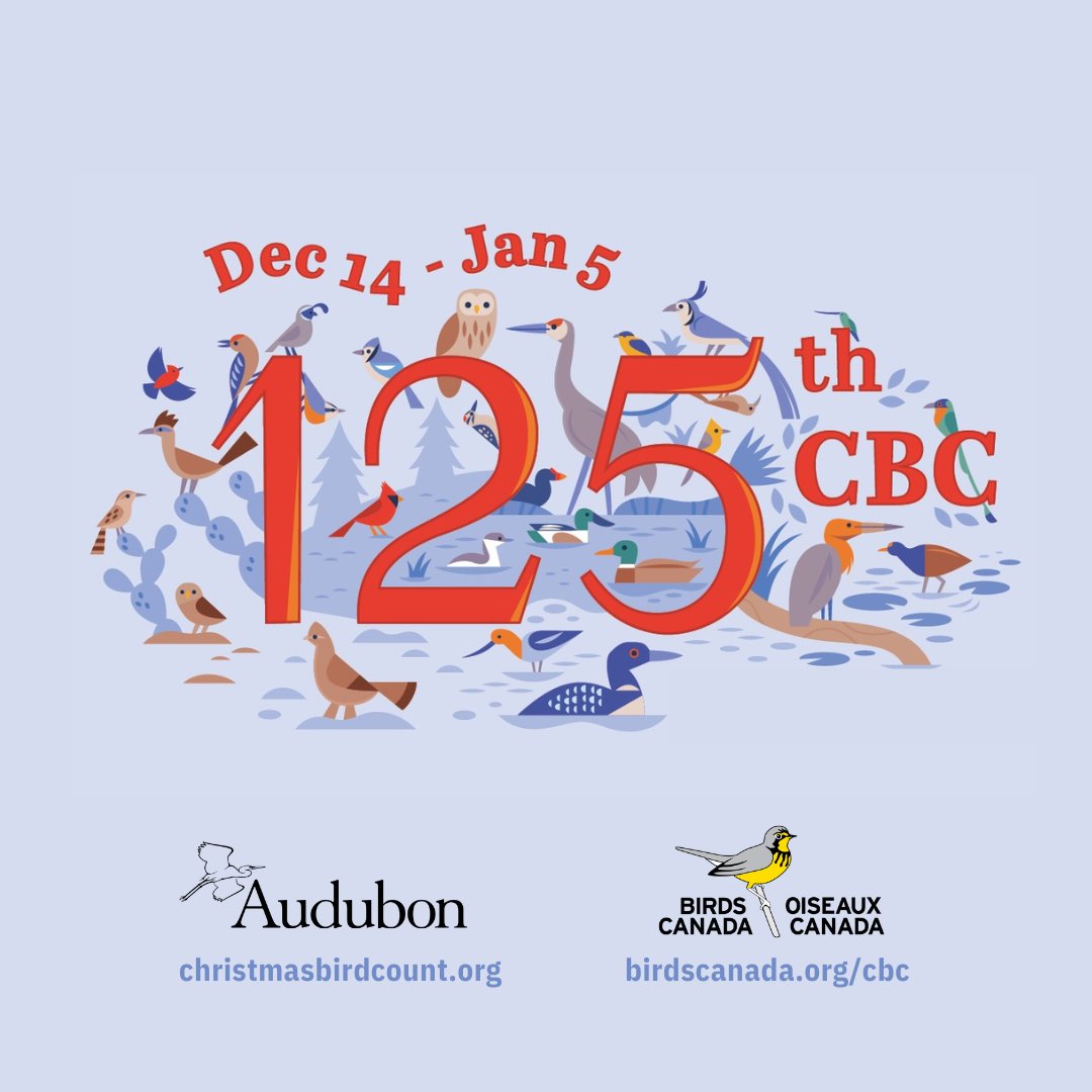 Today marks the first day of the 125th Christmas Bird Count! From December 14th to January 5th, you can help monitor winter birds across Canada by participating in this long-running citizen science program: birdscanada.org/cbc