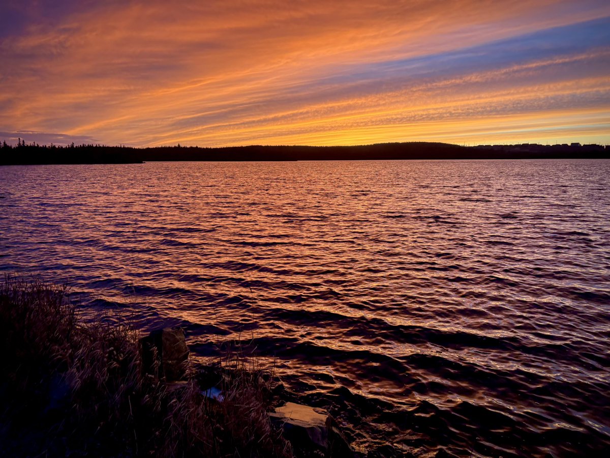 Jess (she/her) tweet media