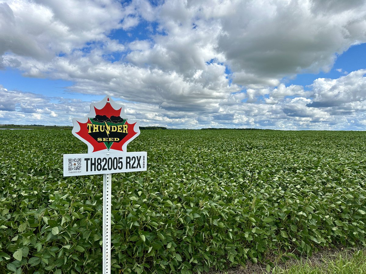 David Chappellaz tweet media