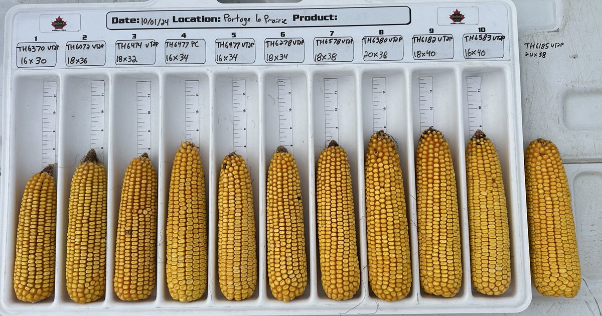 David Chappellaz tweet media