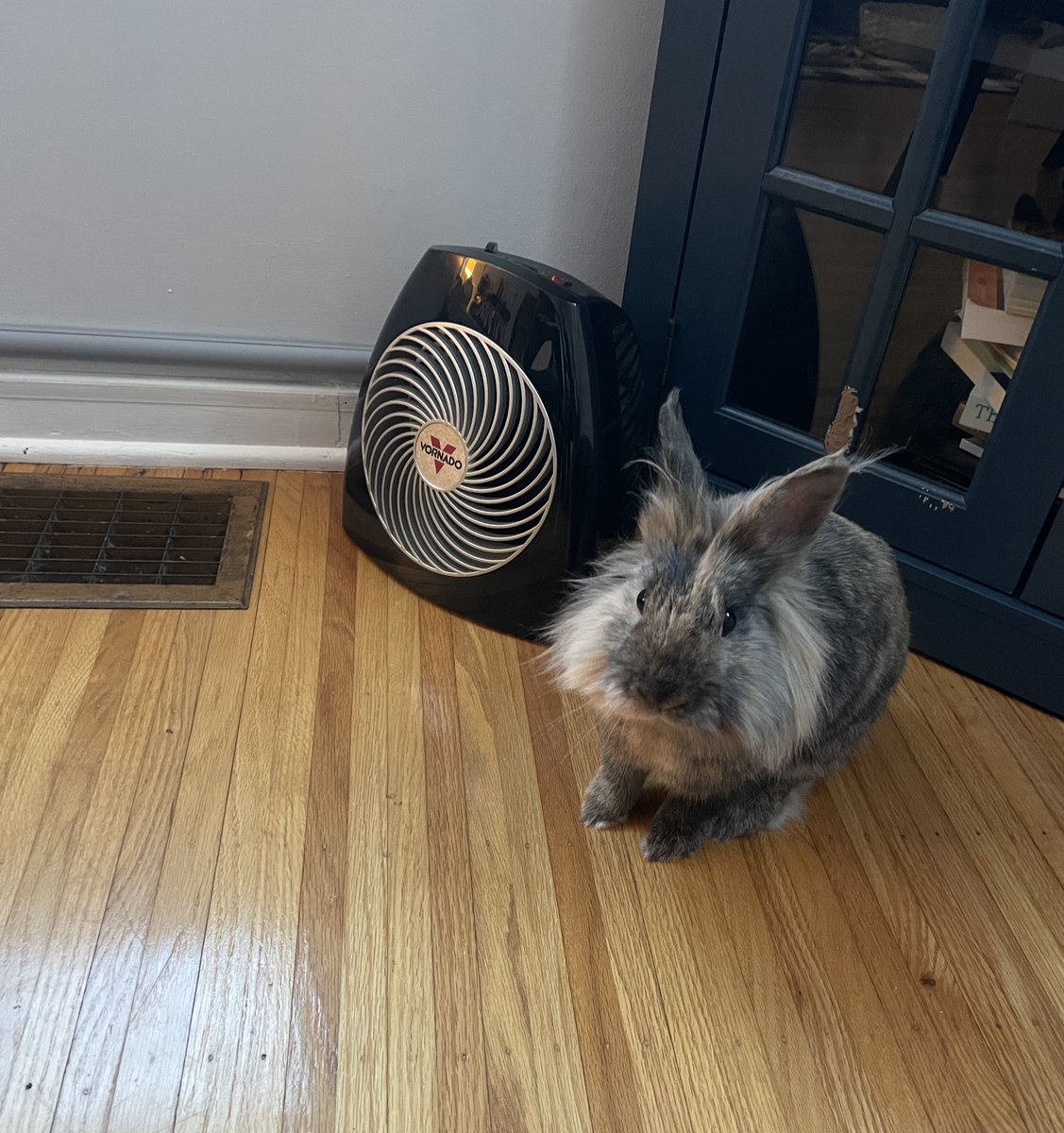Harlez188's tweet photo. Standoff with the space heater…is it a friend or foe? 🤔 https://t.co/yhPfPjWeRA