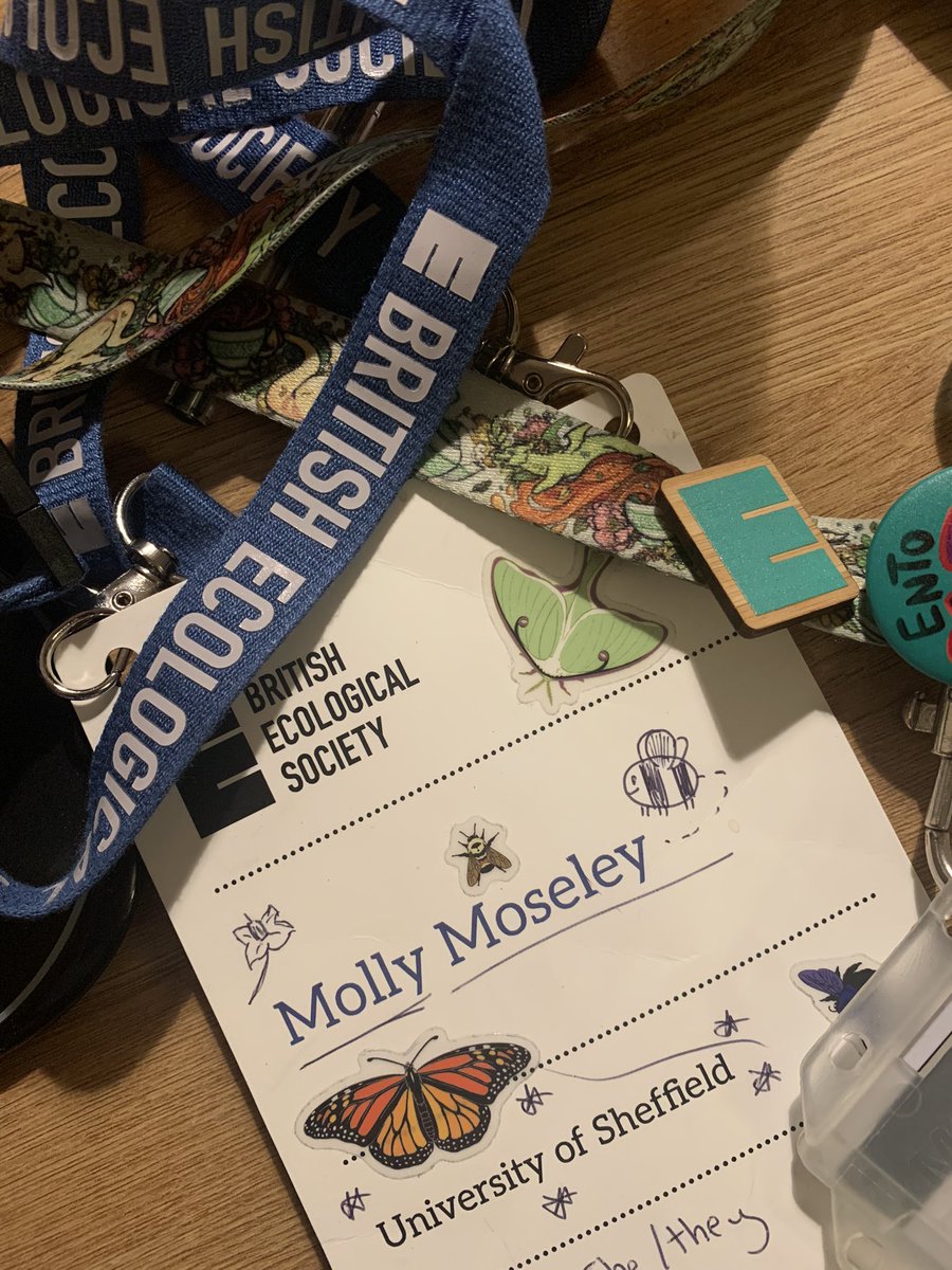 Finally made it home from BES 2024 which was a great experience for my first conference - feeling rejuvenated about planning my own further research now