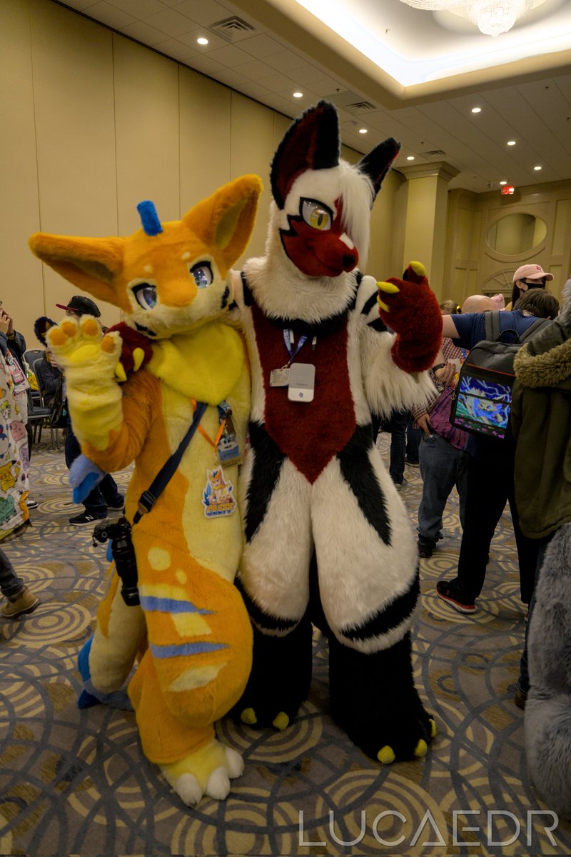 Shiori (+Jinro) 🔜 ANE tweet media