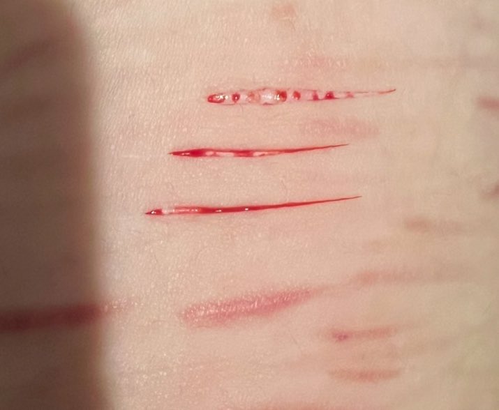 infernock17's tweet photo. they aren’t anything crazy but i think these styros are pretty https://t.co/lXGwt2uE4v