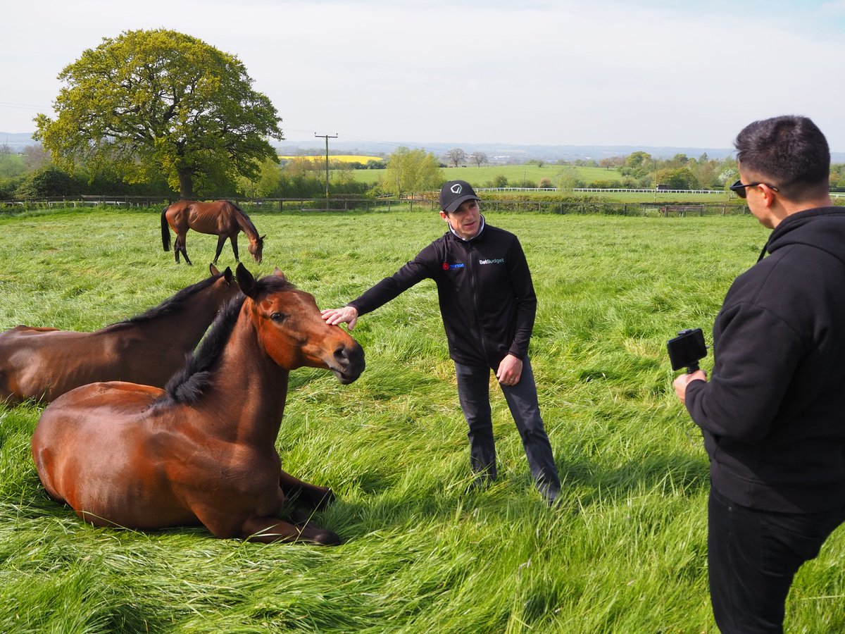 💷 IF HARRY SKELTON RIDES A TREBLE On MADARA, COCO MADEMOISELLE &amp; TAKE NO CHANCES At Cheltenham Tomorrow: 😍

I'll give £1000 CASH to One of YOU Lucky People! 🍻 💷

To Enter: 👇

1️⃣ RT This Tweet
2️⃣ Like This Tweet
3️⃣ Follow <a href="/racingblogger/">Stephen R Power</a>

GOOD LUCK EVERYONE 💷 🎉

#Cheltenham