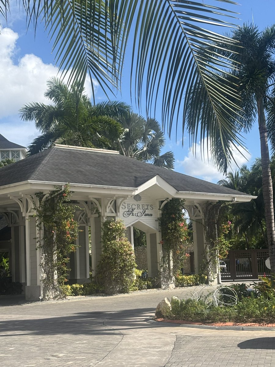 WeddingMagGTA's tweet photo. There’s no ‘Secret’ this all inclusive adult only island resort, we consider very wedding worthy. 

Ask our editor hello@weddingplannermag.ca

Images: @VeronicaEvents 

@SecretsStJames 
@VisitJamaicaNow 
#adultonly 
#preferredsuite
#oceanview https://t.co/0p6guBesRh