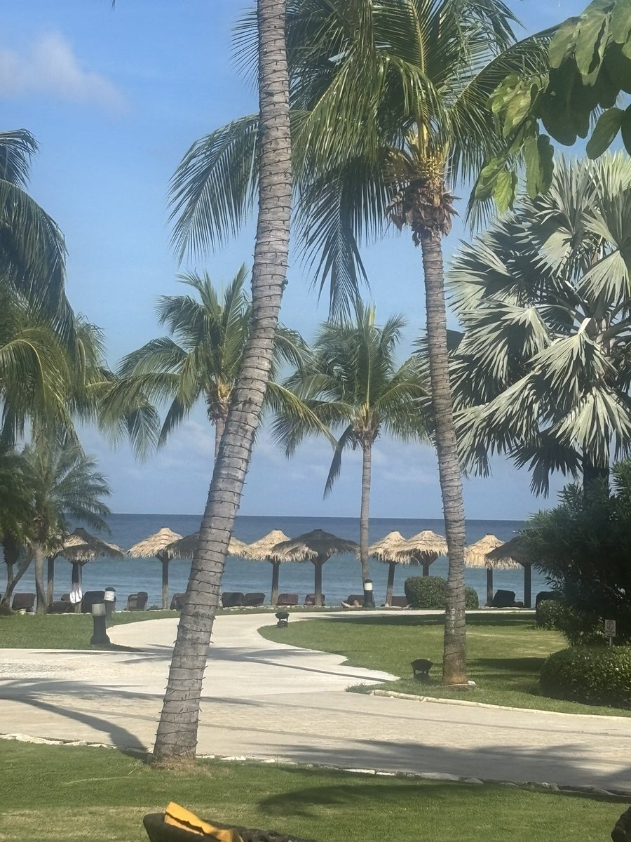WeddingMagGTA's tweet photo. There’s no ‘Secret’ this all inclusive adult only island resort, we consider very wedding worthy. 

Ask our editor hello@weddingplannermag.ca

Images: @VeronicaEvents 

@SecretsStJames 
@VisitJamaicaNow 
#adultonly 
#preferredsuite
#oceanview https://t.co/0p6guBesRh