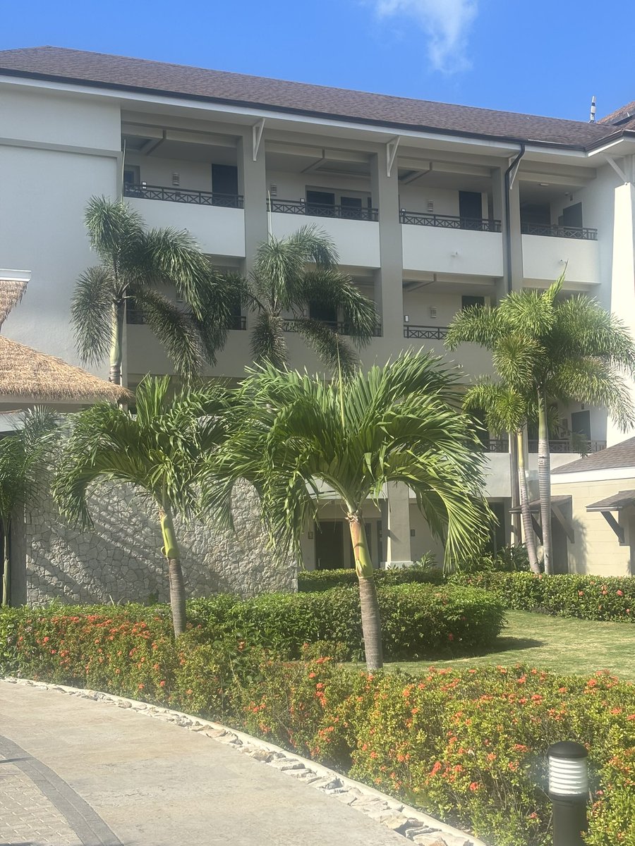 WeddingMagGTA's tweet photo. There’s no ‘Secret’ this all inclusive adult only island resort, we consider very wedding worthy. 

Ask our editor hello@weddingplannermag.ca

Images: @VeronicaEvents 

@SecretsStJames 
@VisitJamaicaNow 
#adultonly 
#preferredsuite
#oceanview https://t.co/0p6guBesRh