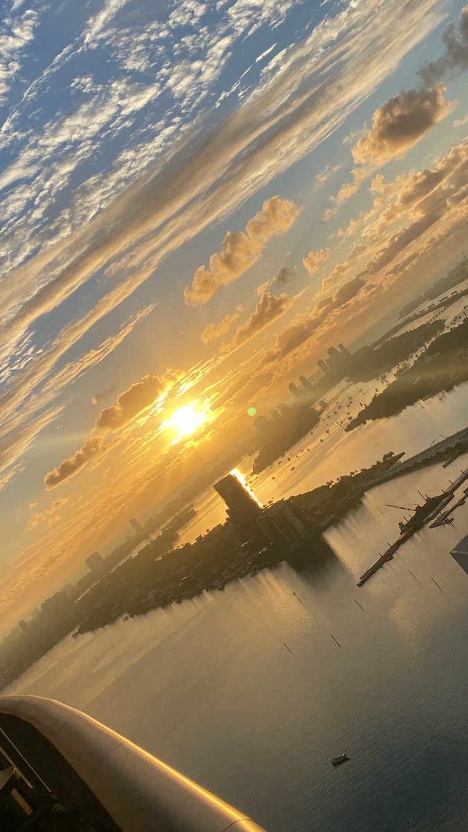 The scenery in the heart of Miami is so beautiful that it’s intoxicating