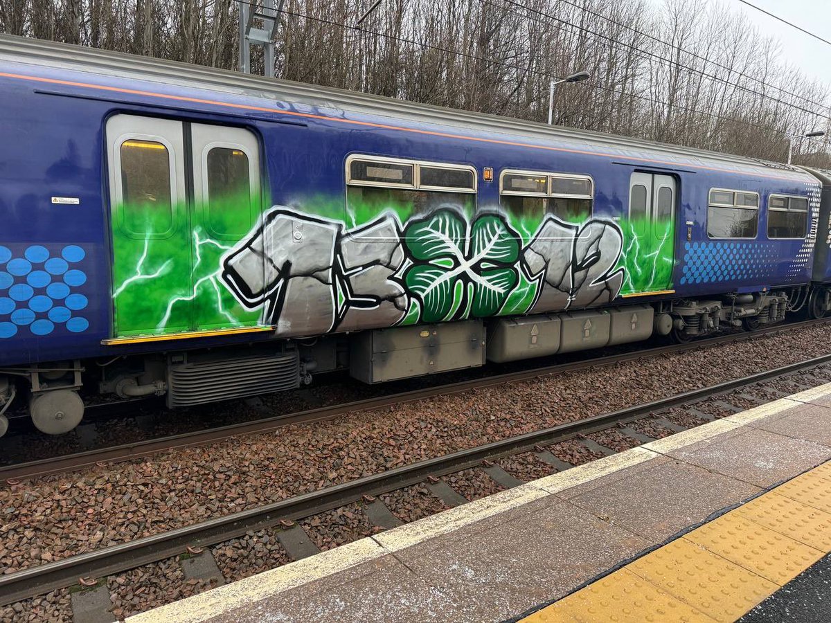 North Curve Celtic tweet media