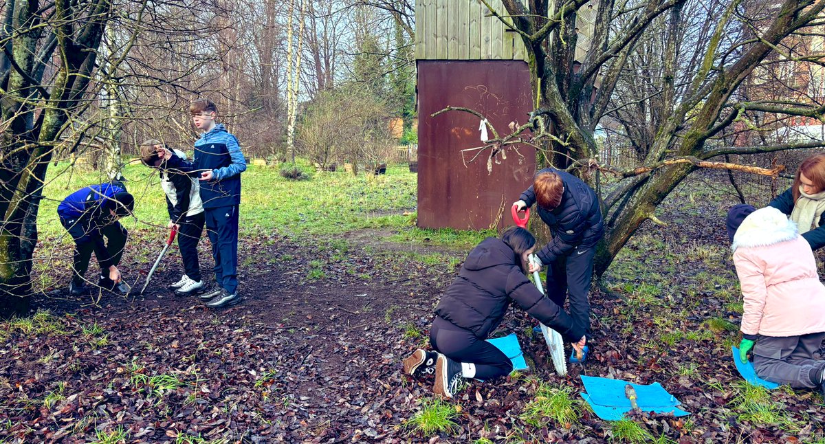 Ms Willams (@willams_ms) on Twitter photo In the bleak midwinter, planting daffodil bulbs for spring to help the bees get their early nectar. Well done S1! Thank you <a href="/childrens_wood/">The Children's Wood</a> for a great afternoon 🙏<a href="/HillheadHS/">Hillhead High School</a> In the bleak midwinter, planting daffodil bulbs for spring to help the bees get their early nectar. Well done S1! Thank you <a href="/childrens_wood/">The Children's Wood</a> for a great afternoon 🙏<a href="/HillheadHS/">Hillhead High School</a>