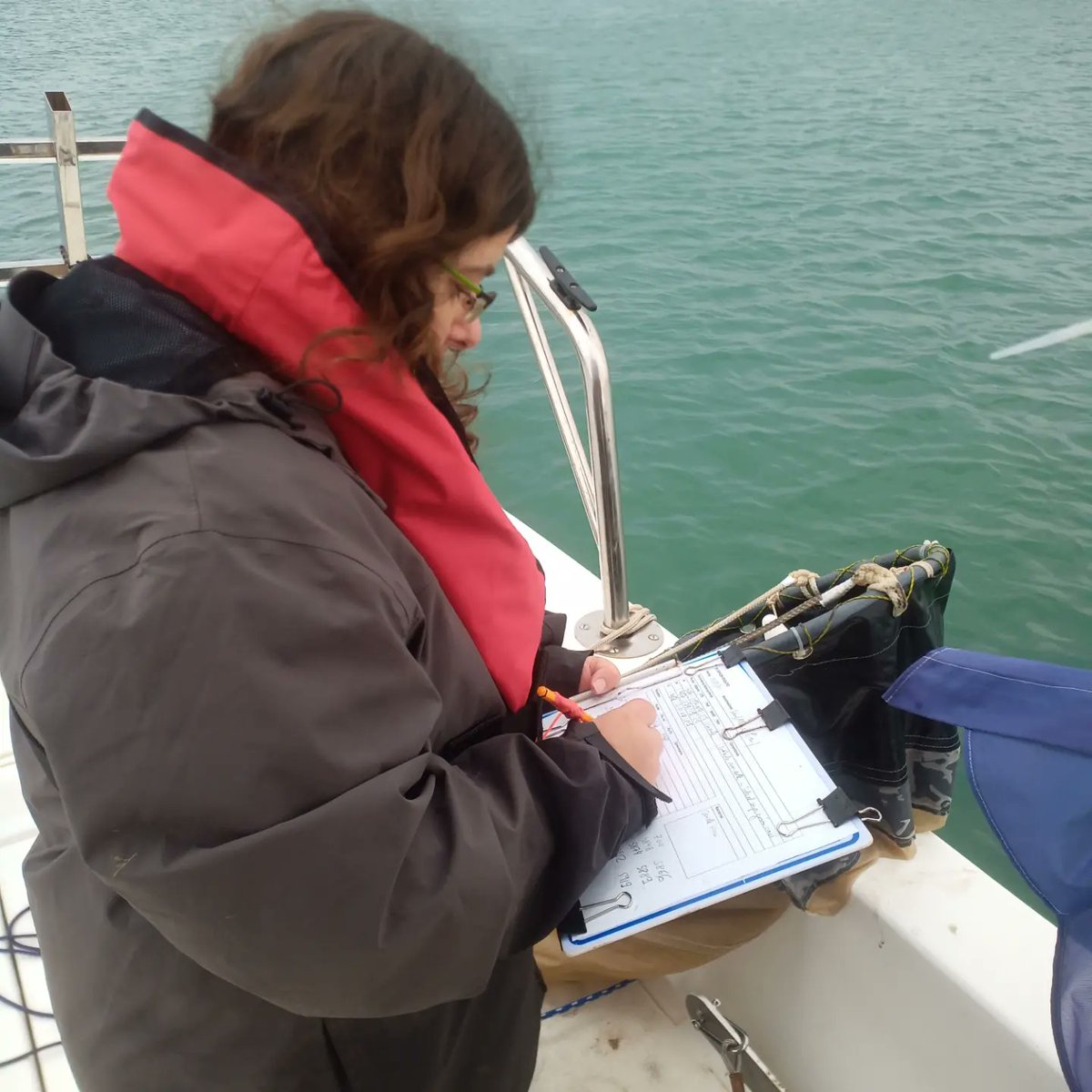 MarLabUADenia's tweet photo. Esta semana empezamos los muestreos de calidad del agua en las aguas intraportuarias del #puertodesagunto, en el marco del proyecto ILIAD de la #fundacionvalenciaport.

@Ciencias_UA
@CesarBordehore
@UA_Universidad
@UAdivulga https://t.co/kXo33osr8q