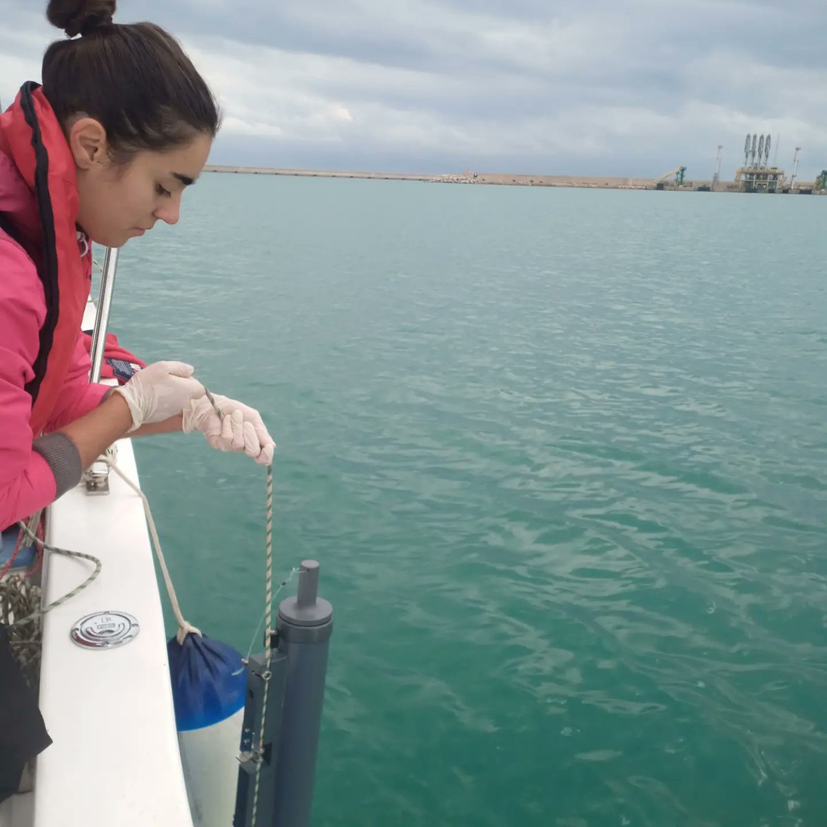 Esta semana empezamos los muestreos de calidad del agua en las aguas intraportuarias del #puertodesagunto, en el marco del proyecto ILIAD de la #fundacionvalenciaport.

<a href="/Ciencias_UA/">CienciasUA</a>
<a href="/CesarBordehore/">Cesar Bordehore</a>
<a href="/UA_Universidad/">Universidad de Alicante UA</a>
<a href="/UAdivulga/">UA Divulga</a>