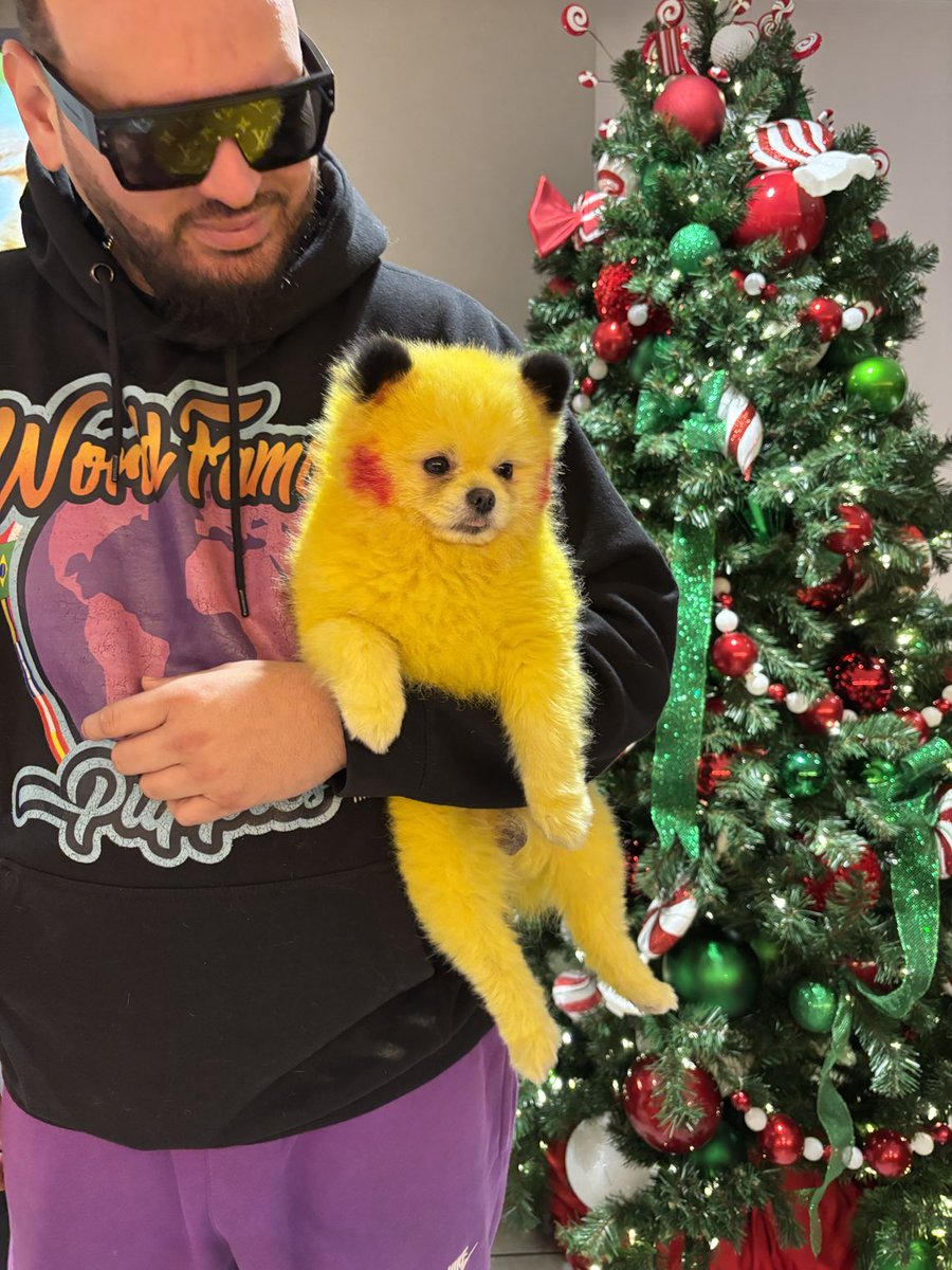 Welcome World Famous Puppies to EMS and Zaza dressed as Pikachu! Pasley gateway ⁦<a href="/EMSInsider/">EMSInsider</a>⁩