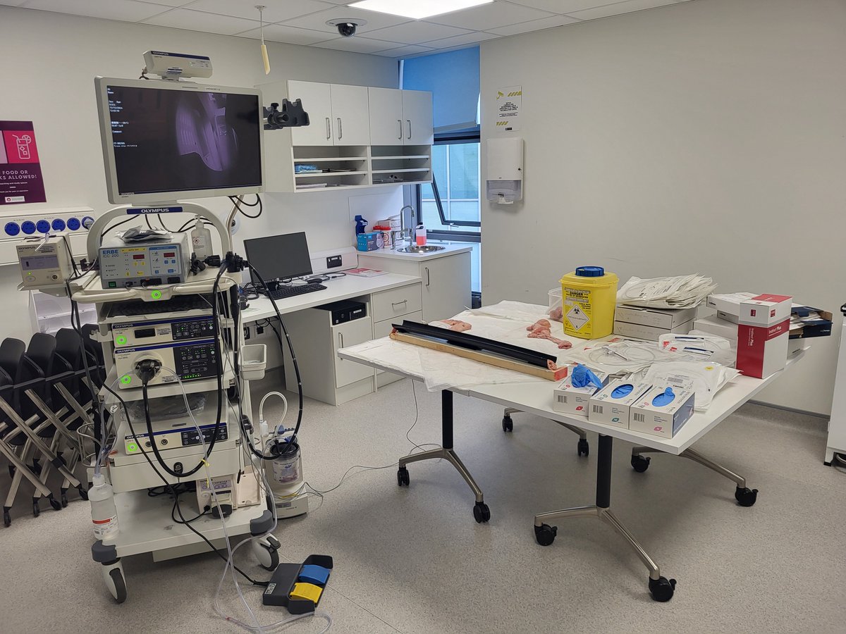 Ambyr Reid tweet media